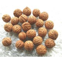 供应供山桃胡 毛桃胡种子50吨