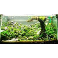 大量批发及石雨水族箱沉木流木造景