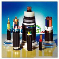 SC1-FPB-CE(0.6/1KV)ȫͻ