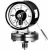 Ӧ¹AB MT 3190ӵĤѹDiaphragm Pressure Gauges