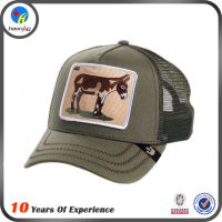 ӦHAIXINGרҵññ ʱñŮcap