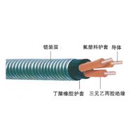 Ӧ3*42.5-QYENY-120-3kV Ǳͱõ