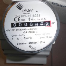 ӦELSTERG400 DN100Ȼư˹DN150