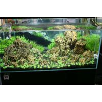 大量供应批发园林水族天然松皮石虎皮石龙骨造景石鱼缸造景