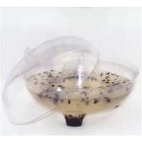 ӬӬ   ͸ PVC 
