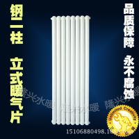 隆興水暖 1.6m立式鋼二柱暖氣片 家用散熱片