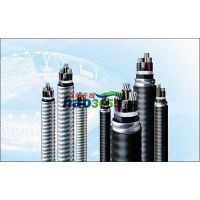 QJ-YJLHV(TC90)0.6/1KV4+1оϩϡϽ