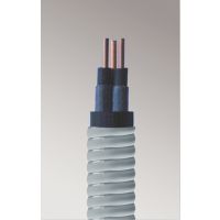 Ӧ3*42.5-QYEQNY-120-3kV Ǳͱõ