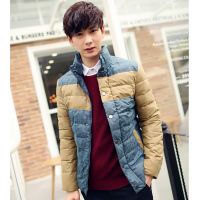 供应批发时尚男装2014新款冬装羽绒服t0t-C8000228