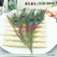 新款天然***孔雀毛 diy饰品配件 服装辅料 插花羽毛 25-28CM批发