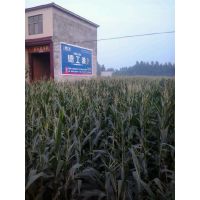 Ӧ2014㶫װѴ Ϳ