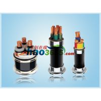 0.6/1KV/10KVϩ/ϩܿյ240/40
