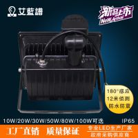 ӦLEDӦͶ ͥԺ ӦͶƻ10W30w50w