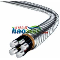 YJHLV82(ACWU90)0.6/1KV3+2оϽװϽ