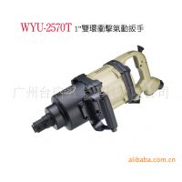 Ӧ͡˫ WYU-2570T