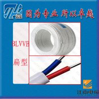 ӦBLVVB2X1.5~2X10 3X1.5~3X10 ƽ ϵߵ 꽭о