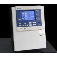 RBK-6000-ZL30ȼ屨,̶ʽȼ屨