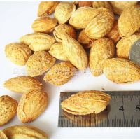 新疆干果特产 坚果食品 新疆巴旦木批发 八旦木 干果巴旦木