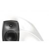 Ӧ Genelec 8240A Դ˫DSP