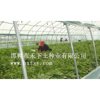 2015Ԥũ431Ѷ磬УĴ