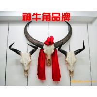 批發(fā)供應(yīng) 神牛角品牌牛頭水牛角黃牛角牦牛角水牛頭架