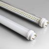 供应LED日光灯/LED日光灯厂家/LED日光灯价格/型号T8/0.6米