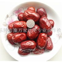 在山东新疆大枣批发市场哪里有