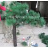 供应济南仿真4米松树制作安装 仿真绿色植物