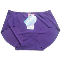 淘寶熱賣一片式無(wú)痕內(nèi)褲 性感美臀大版冰絲 義烏女士中腰內(nèi)褲批發(fā)
