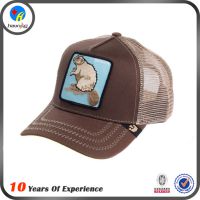 ӦHAIXINGרҵññ ʱñŮcap