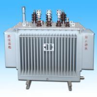 S11-Mϵ10KVѹ