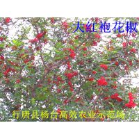 1껨Ǯ