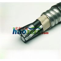YJHLV82(ACWU90)0.6/1KV3+2оϽװϽ