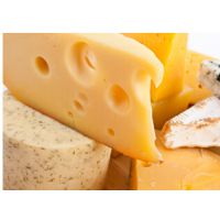 法国奶酪进口报关全套代理服务