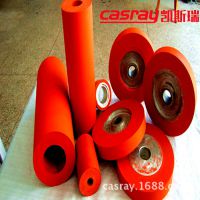 Casrayתӡ̽轺