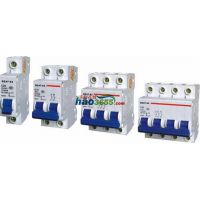 DZL25ϵ©·DZL25-250