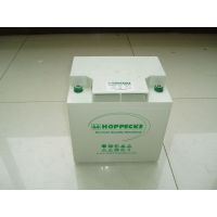 ӦϺ¹ɱSB12V/80Ȩֱ۸