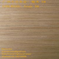 Ӧŵľ019 ƼľƤ finwood teak recon veneer