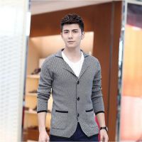免费代理小西服 新款秋冬装 男装韩版修身羊毛立领西装 淘宝分销