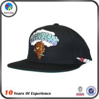 Ӧ쳧רҵƽñŮññsnapback ߵ ñ