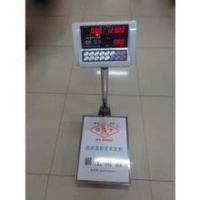茶陵台秤《30-600kg》销量，***供应