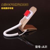 Ӧֻ չʾ ֤ 
