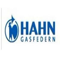 HAHN-GASFEDERNѹ