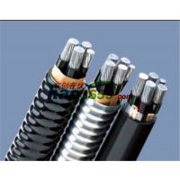 QJ-YJLHV(TC90)0.6/1KV4+1оϩϡϽ