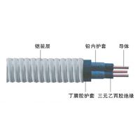 Ӧ3*10-QYEQNY-120-3kV Ǳͱõ