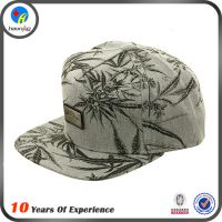 Ӧ˳רҵʱƽññ ñ 14¿ñsnapback