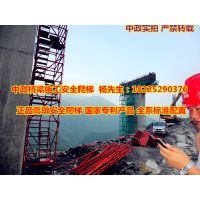 供应安全爬梯塔梯 安全爬梯 路桥建筑安全爬梯 桥墩应用安全爬梯