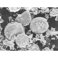 供应污水处理用硅藻土--造泥,絮凝