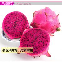 供应优质无公害红心火龙果批发、零售
