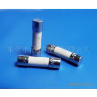 Ӧ021506.3MXP   6.3A/250V    Littelfuse_ر˿